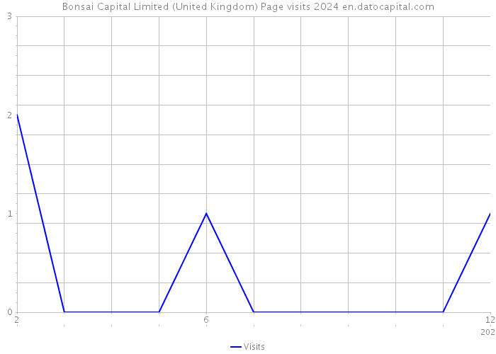 Bonsai Capital Limited (United Kingdom) Page visits 2024 