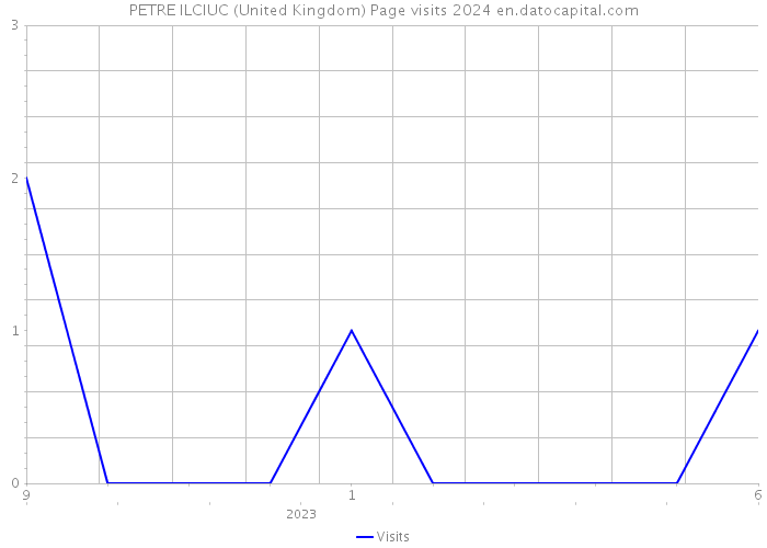 PETRE ILCIUC (United Kingdom) Page visits 2024 