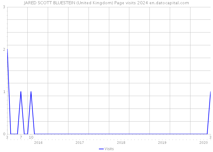 JARED SCOTT BLUESTEIN (United Kingdom) Page visits 2024 