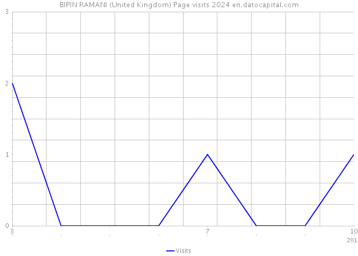 BIPIN RAMANI (United Kingdom) Page visits 2024 