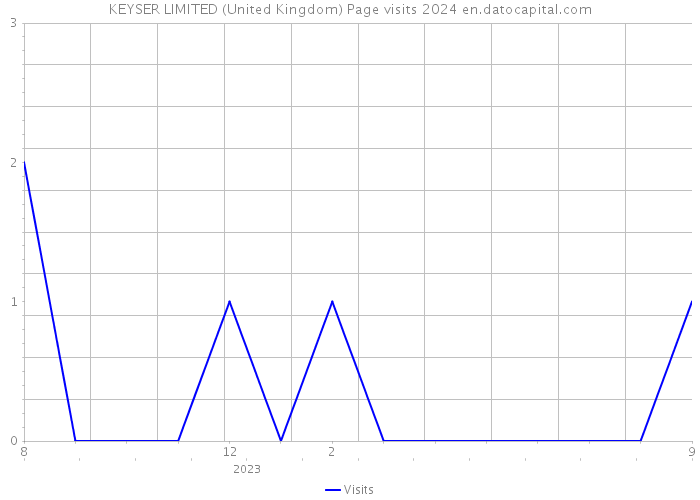 KEYSER LIMITED (United Kingdom) Page visits 2024 