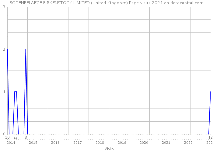 BODENBELAEGE BIRKENSTOCK LIMITED (United Kingdom) Page visits 2024 
