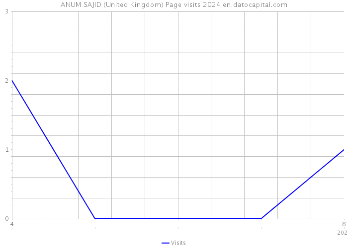 ANUM SAJID (United Kingdom) Page visits 2024 
