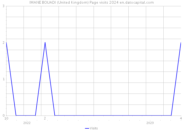 IMANE BOUADI (United Kingdom) Page visits 2024 