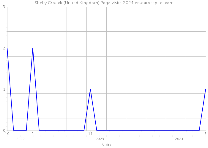 Shelly Croock (United Kingdom) Page visits 2024 