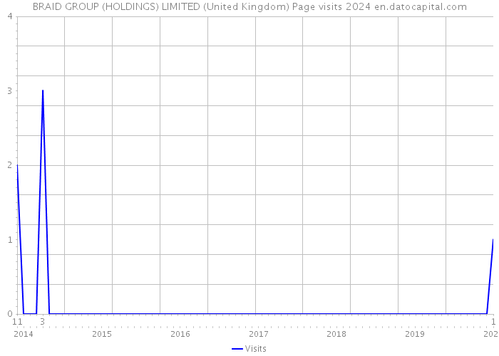 BRAID GROUP (HOLDINGS) LIMITED (United Kingdom) Page visits 2024 