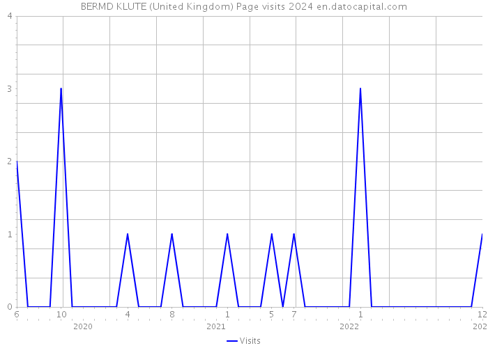 BERMD KLUTE (United Kingdom) Page visits 2024 