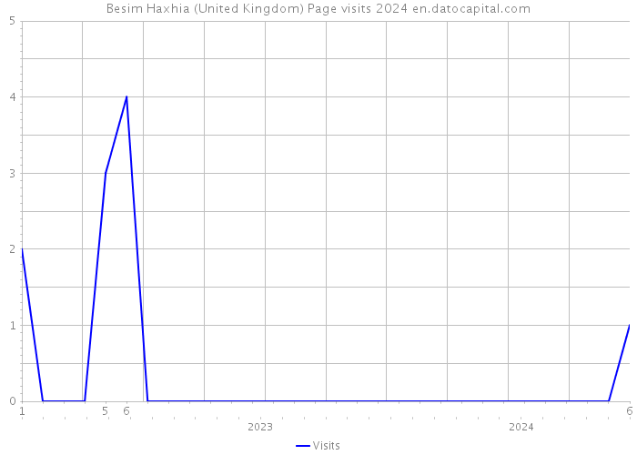 Besim Haxhia (United Kingdom) Page visits 2024 