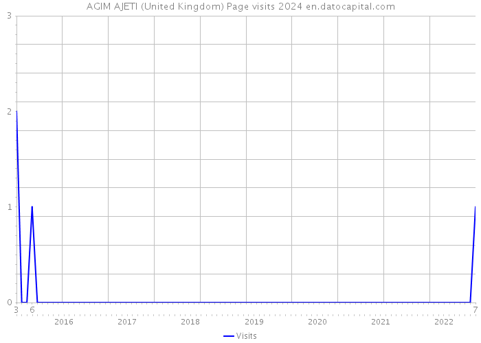 AGIM AJETI (United Kingdom) Page visits 2024 