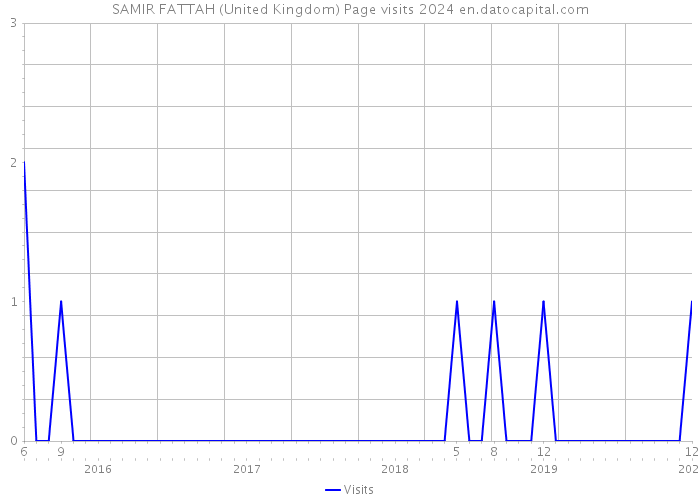 SAMIR FATTAH (United Kingdom) Page visits 2024 