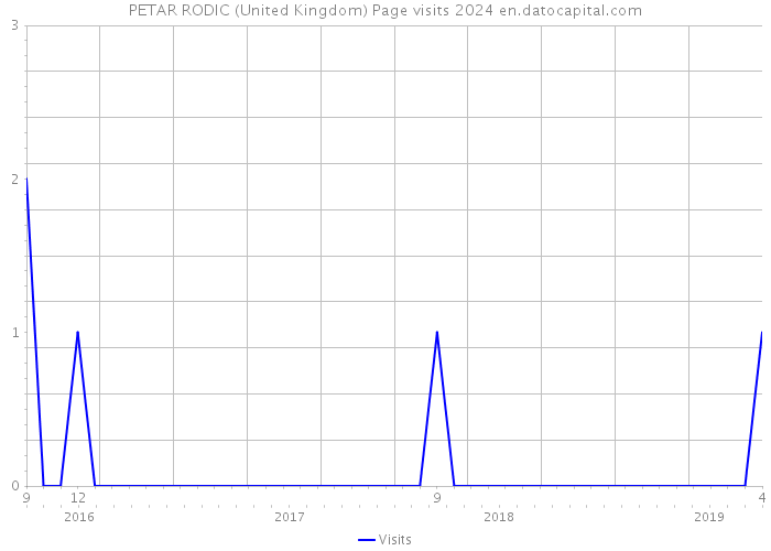 PETAR RODIC (United Kingdom) Page visits 2024 