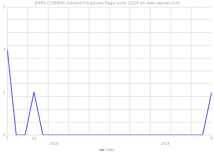 JOHN CUSHING (United Kingdom) Page visits 2024 