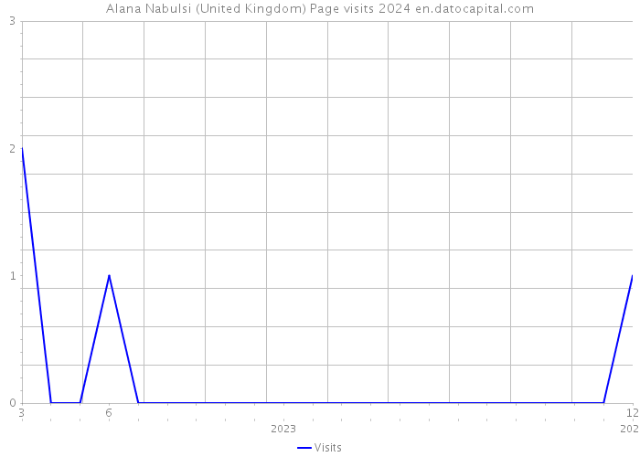 Alana Nabulsi (United Kingdom) Page visits 2024 