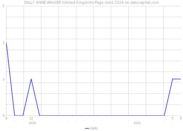 SALLY ANNE WALKER (United Kingdom) Page visits 2024 
