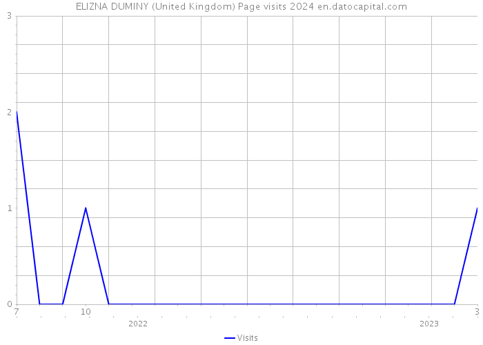ELIZNA DUMINY (United Kingdom) Page visits 2024 