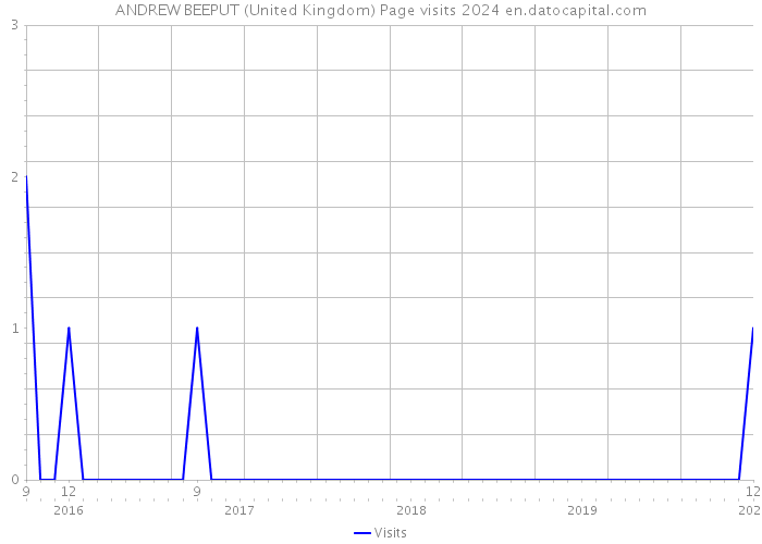 ANDREW BEEPUT (United Kingdom) Page visits 2024 