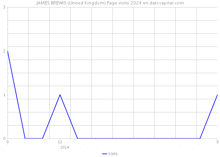JAMES BREWIS (United Kingdom) Page visits 2024 