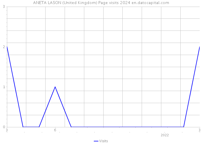 ANETA LASON (United Kingdom) Page visits 2024 