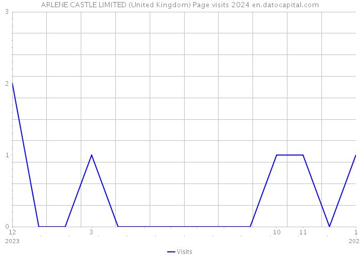 ARLENE CASTLE LIMITED (United Kingdom) Page visits 2024 