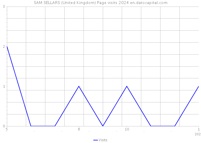 SAM SELLARS (United Kingdom) Page visits 2024 