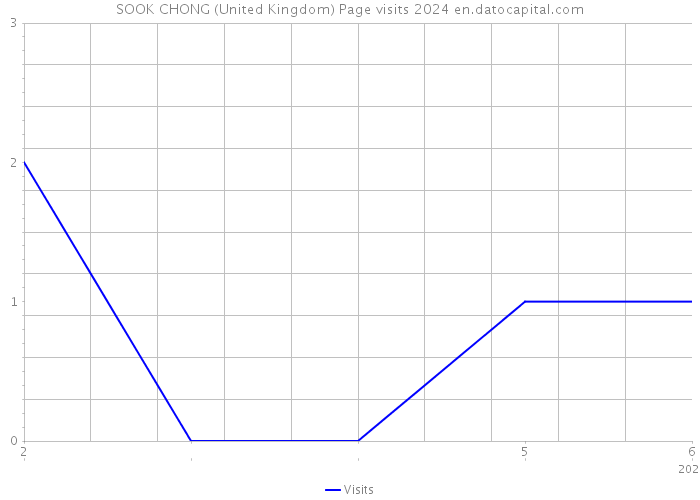 SOOK CHONG (United Kingdom) Page visits 2024 