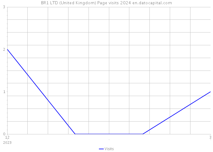 BR1 LTD (United Kingdom) Page visits 2024 