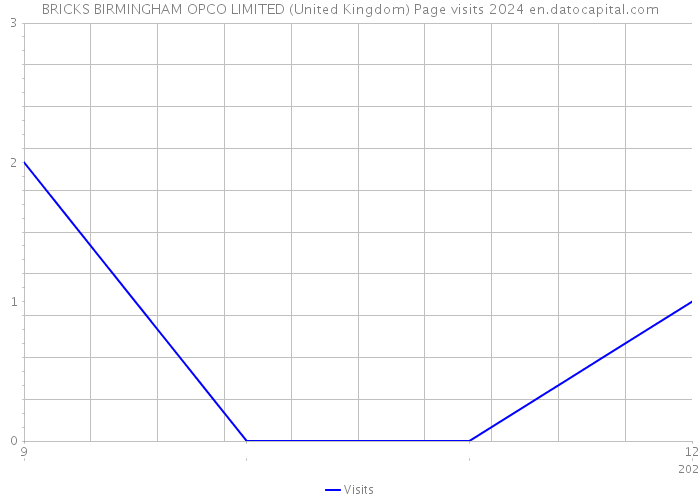 BRICKS BIRMINGHAM OPCO LIMITED (United Kingdom) Page visits 2024 