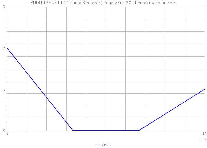 BUDU TRANS LTD (United Kingdom) Page visits 2024 
