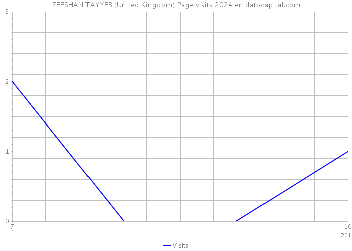 ZEESHAN TAYYEB (United Kingdom) Page visits 2024 