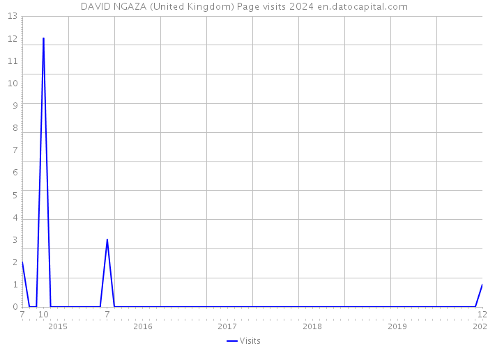 DAVID NGAZA (United Kingdom) Page visits 2024 