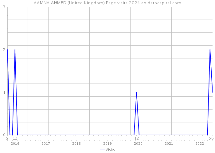AAMNA AHMED (United Kingdom) Page visits 2024 