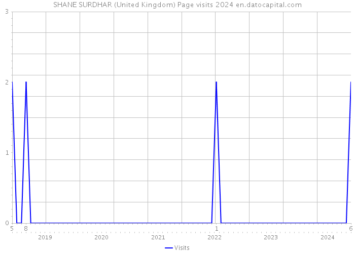 SHANE SURDHAR (United Kingdom) Page visits 2024 