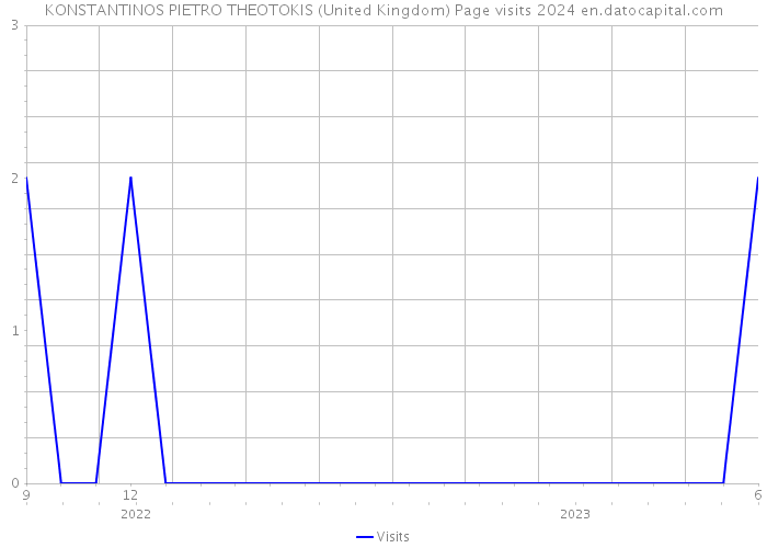 KONSTANTINOS PIETRO THEOTOKIS (United Kingdom) Page visits 2024 
