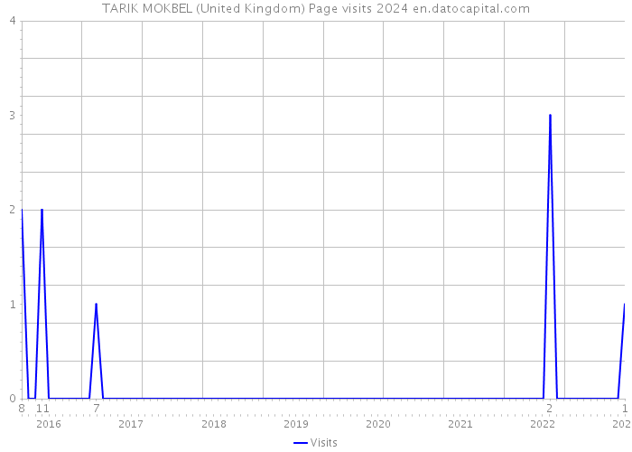 TARIK MOKBEL (United Kingdom) Page visits 2024 