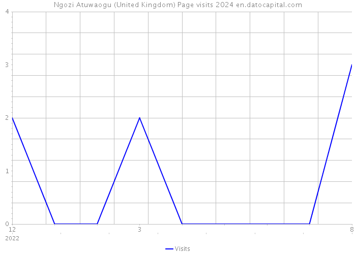 Ngozi Atuwaogu (United Kingdom) Page visits 2024 