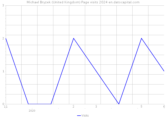 Michael Bryzek (United Kingdom) Page visits 2024 
