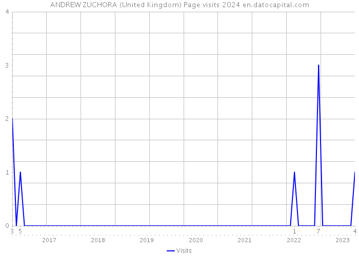 ANDREW ZUCHORA (United Kingdom) Page visits 2024 