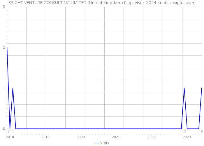 BRIGHT VENTURE CONSULTING LIMITED (United Kingdom) Page visits 2024 