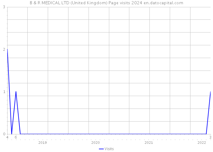 B & R MEDICAL LTD (United Kingdom) Page visits 2024 