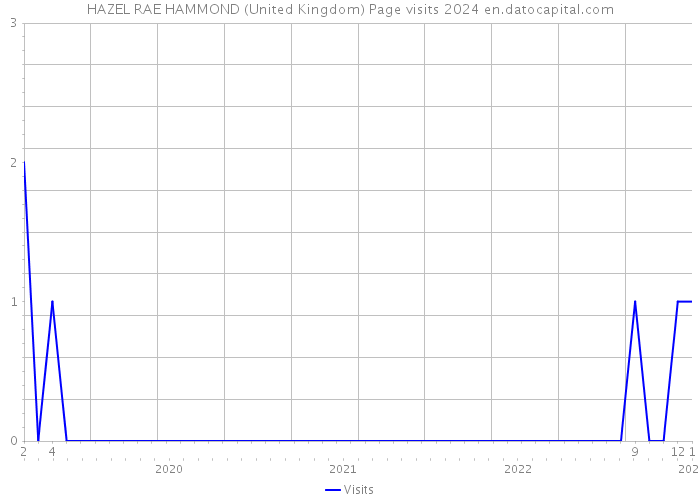 HAZEL RAE HAMMOND (United Kingdom) Page visits 2024 