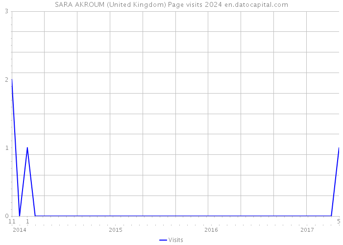 SARA AKROUM (United Kingdom) Page visits 2024 