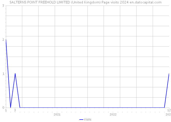 SALTERNS POINT FREEHOLD LIMITED (United Kingdom) Page visits 2024 