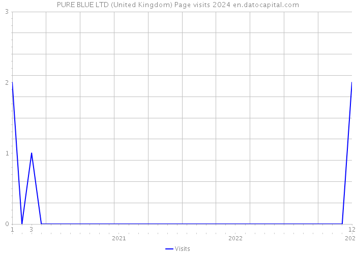 PURE BLUE LTD (United Kingdom) Page visits 2024 