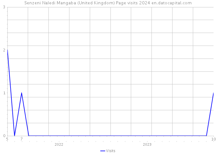 Senzeni Naledi Mangaba (United Kingdom) Page visits 2024 