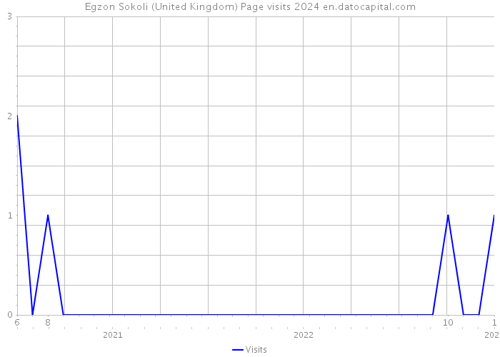 Egzon Sokoli (United Kingdom) Page visits 2024 