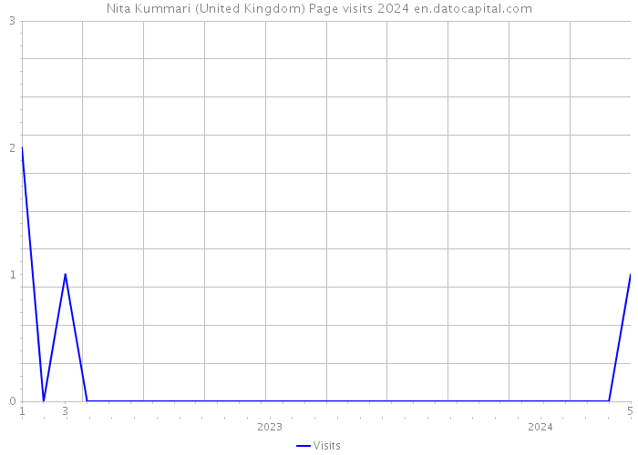 Nita Kummari (United Kingdom) Page visits 2024 