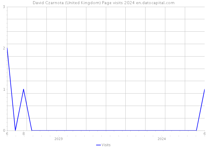 David Czarnota (United Kingdom) Page visits 2024 