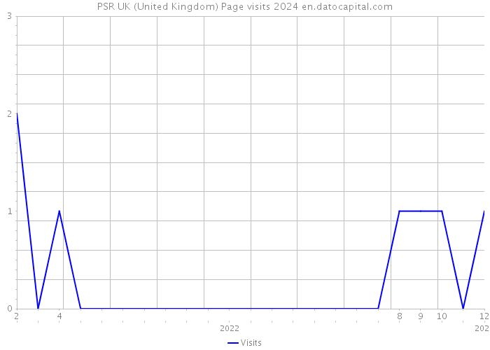 PSR UK (United Kingdom) Page visits 2024 
