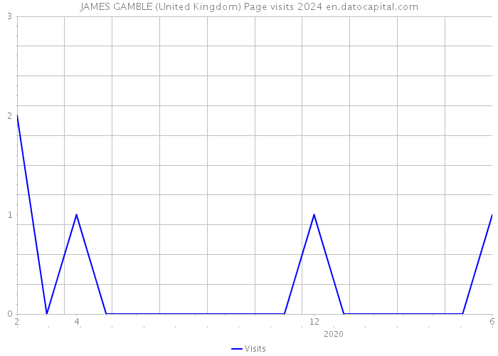 JAMES GAMBLE (United Kingdom) Page visits 2024 