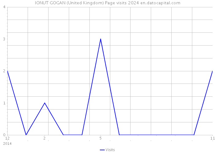 IONUT GOGAN (United Kingdom) Page visits 2024 